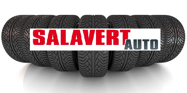 Aperçu des activités de la casse automobile SALAVERT FRERES située à LAPALUD (84840)